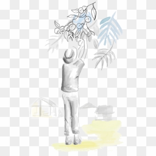 Cueillette@2x - Illustration Clipart