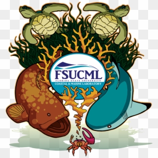 The Fsu Coastal & Marine Laboratory Will Hold Its Next - Fsu Coastal And Marine Lab Clipart