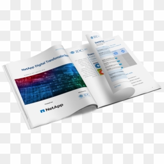 Netapp Digital Transformation Report - Graphic Design Clipart
