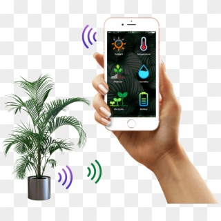 Iot Solutions For Farming - Plant In Pot Transparent Background Clipart