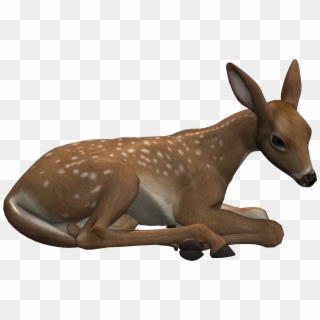 Go To Image - Deer Lying Down Png Clipart