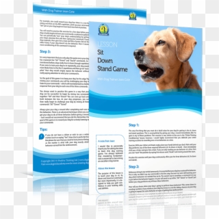 Follow Along This Lesson With Your Free Complimentary - Labrador Retriever Clipart