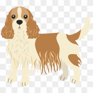 Cav Barks 6 Times Every Time He Sees The Mailman - English Cocker Spaniel Clipart