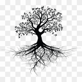 Tree With Roots Design - Black And White Ash Tree With Roots Clipart