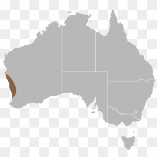 Javelin Lizard - Map Of Australia Png Clipart