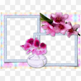 Molduras Para Fotos Flores - Cattleya Clipart