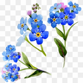 Wildflower Vector Watercolor - Blue Flower Frame Png Clipart