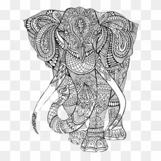 Download Mandalas Elefante Sticker Printable Animal Colouring Pages Clipart 5382739 Pikpng