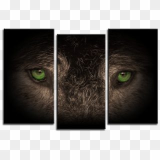 Wolf Eyes 3 Panel Canvas Print 075-01 - Black Cat Clipart