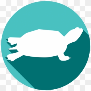 Logo - Green Sea Turtle Clipart