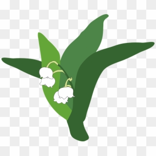 Download Lily Of The Valley Png Pic - Lily Of The Valley Cartoon Png Clipart