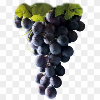Thumb Image - Red Grapes Clipart