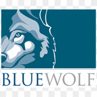 Blue Wolf Adds Ralph Wright As New Operating Partner - Blue Wolf Capital Clipart