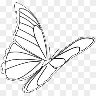 How To Set Use Butterfly Flying Svg Vector - Vẽ Đàn Bướm Bay Clipart