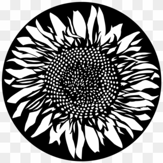 More Views - Sunflower - Sunflower Gobo Clipart