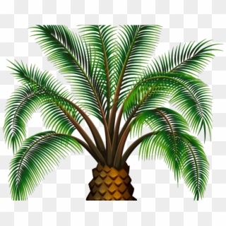 Date Palm Clipart Palm Oil Tree - Gambar Pohon Kurma Kartun - Png Download