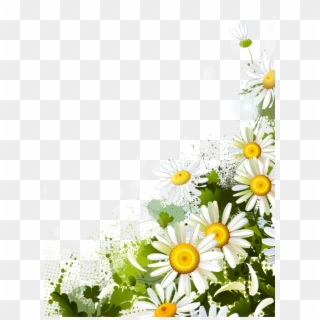 Daisies Corner Png Clipart