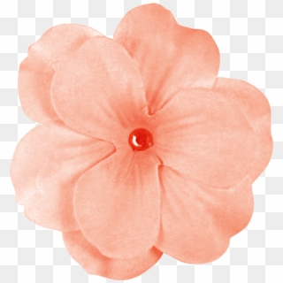 Peach-flower , 449k Clipart