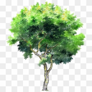 Tree Trees Leafs Greentree Green Ftestickers - Tree Png Clipart