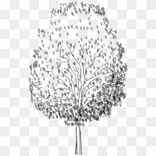 Tree - Drawing Clipart