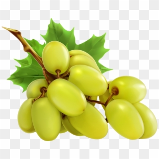 Grapes - Green Grapes Clipart - Png Download