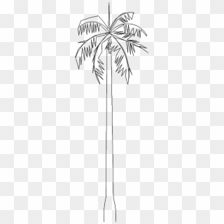 Tree - Desert Palm Clipart