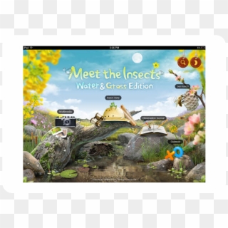 Meet The Insects - Wonders Of The World Clipart