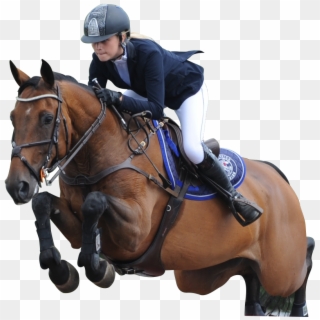 Image Is Not Available - Equestrian Png Clipart
