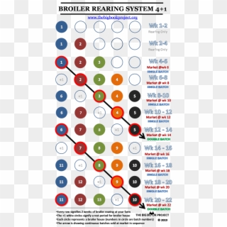 4 1 Broiler Rearing System - Circle Clipart