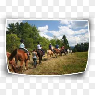 Check Out Horseback Riding In Saranac Lake, Ny A Perfect - Stallion Clipart