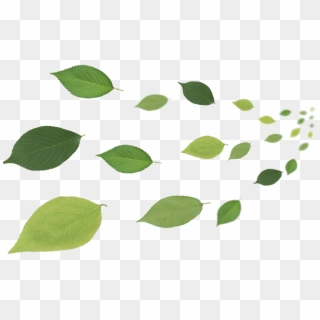 Leaf Flying Transprent Png Free - Leaves In Wind Clipart