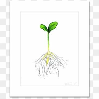 Hand Drawn Sprout - Sketch Clipart