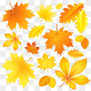 Download Transparent Fall Leaves Picture Clipart Png - Cartoon Image Of Autumn Leaves