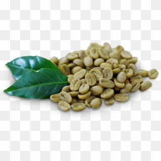 Green Coffee Beans - Green Coffee Beans Png Clipart