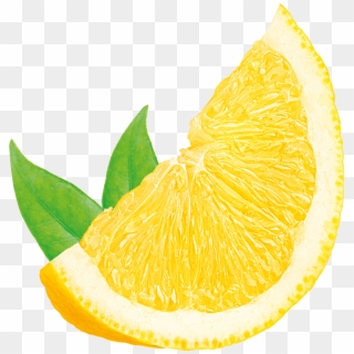 Water Lemon - Natural Foods Clipart
