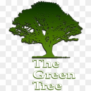 What A Great Experience - Green Tree Clipart