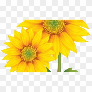 Download By Size - Sunflower Cartoon Transparent Background Clipart