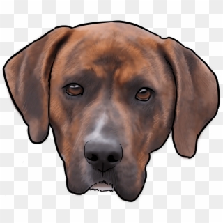 This Week On “why Are You A Dog” We Talk About The - Rhodesian Ridgeback Clipart