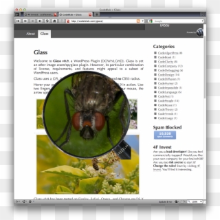 Glass Plugin - Magnifying Glass Wordpress Plugin Clipart