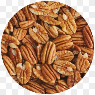 Georgia Pecan Grower Leverages A First American Lease - Pastry Clipart