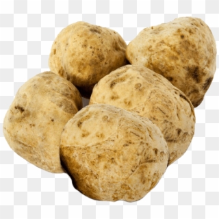 White Truffle - Russet Burbank Potato Clipart