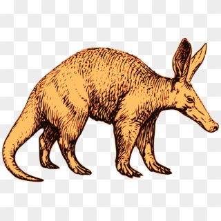 Transparent Aardvark Png Clipart