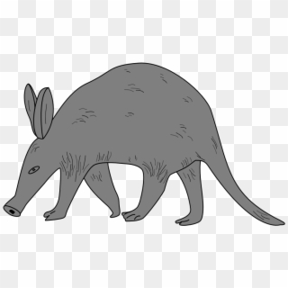 All Free Clip Art And Transparent Png Graphics Of Animals - Aardvark Clipart Transparent