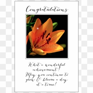 Congratulations What A Beautiful Achievement - Happy New Year 2018 Images With Love Clipart