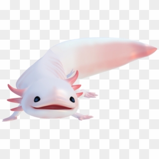 Axolotl Png - Real Axolotl Png Clipart