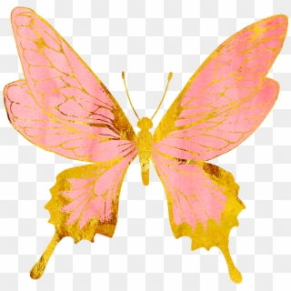 #butterflies #butterfly #pastel #pink #rosegold #gold - Pink And Gold Butterfly Clip Art - Png Download