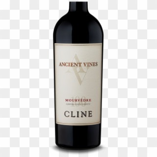Ancient Vines Series - Glass Bottle Clipart