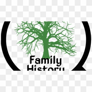 Murphy Family Reunion Includes Review Of Family History - Tree Clipart