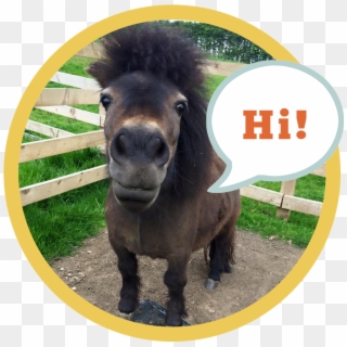 Little Alf Says Hello - Working Animal Clipart