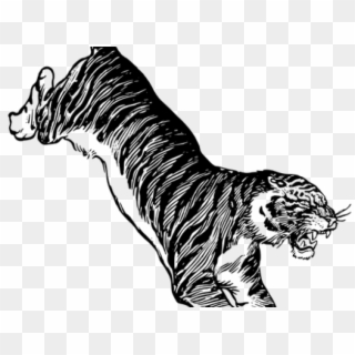Line Drawing Of A Tiger Jumping Clipart
